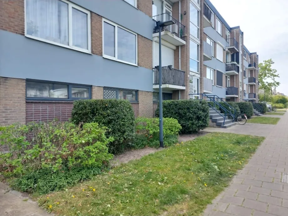 Dezelfde heesters kort en rond gesnoeid, de ramen en de gevel weer vrij